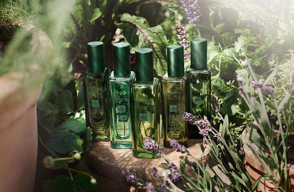 JO MALONE LONDON 'the HERB garden' Cologne Collection eyesmag 아이즈매거진