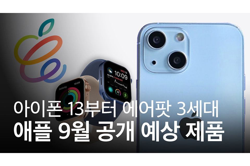 애플 제품 구매 체크