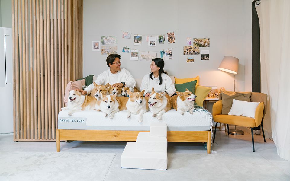 “여러분의 함께하는 공간은 어떤 모습인가요?”, 지누스 ‘함께하는 공간’ 캠페인