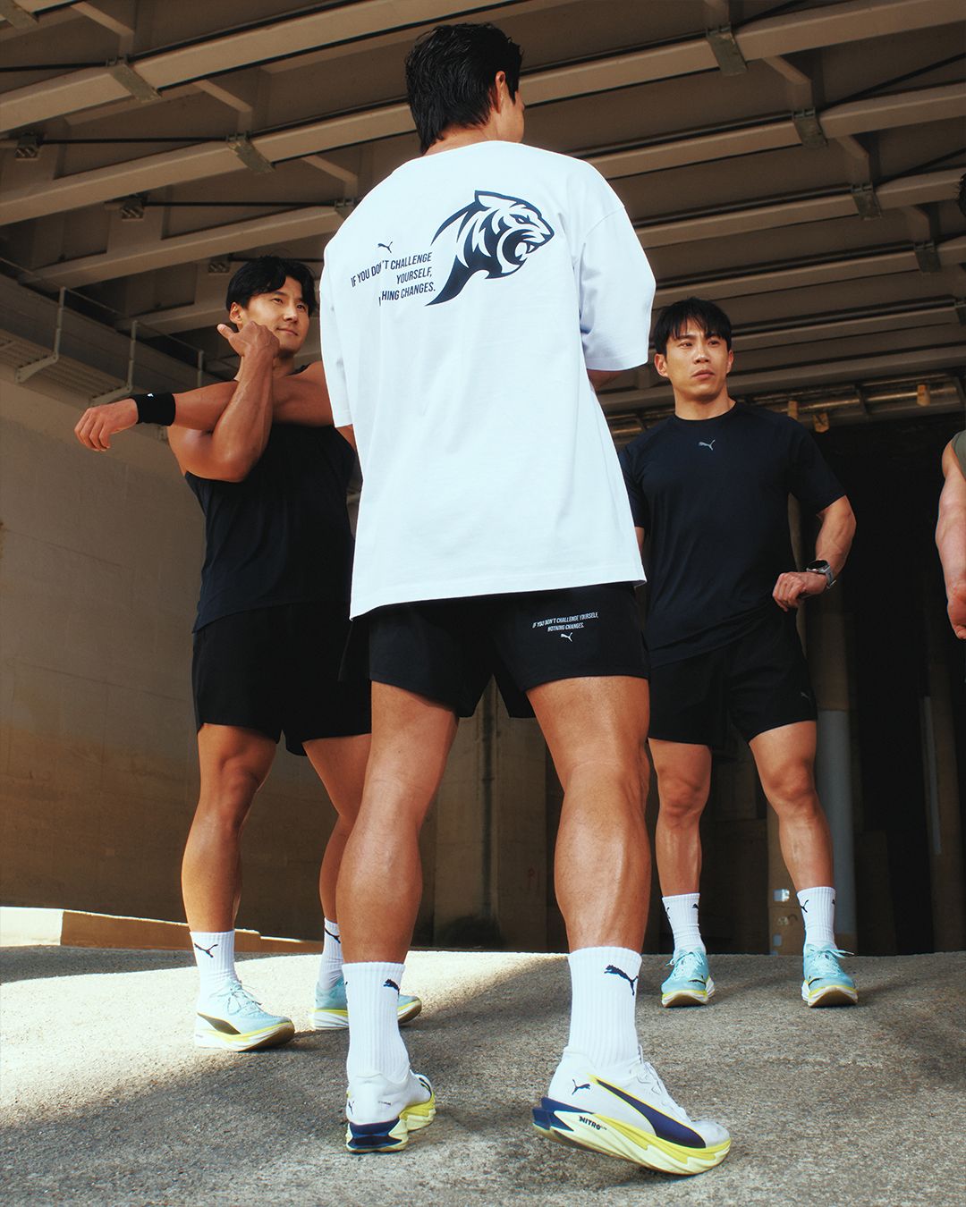 PUMA