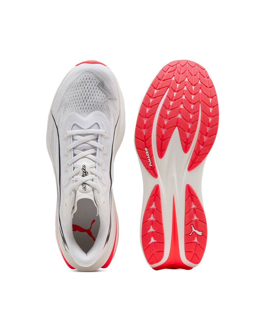 PUMA