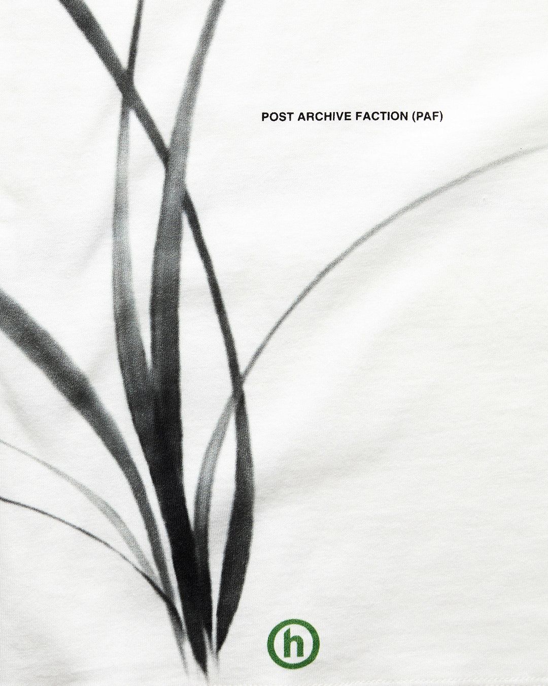 POST ARCHIVE FACTION (PAF)