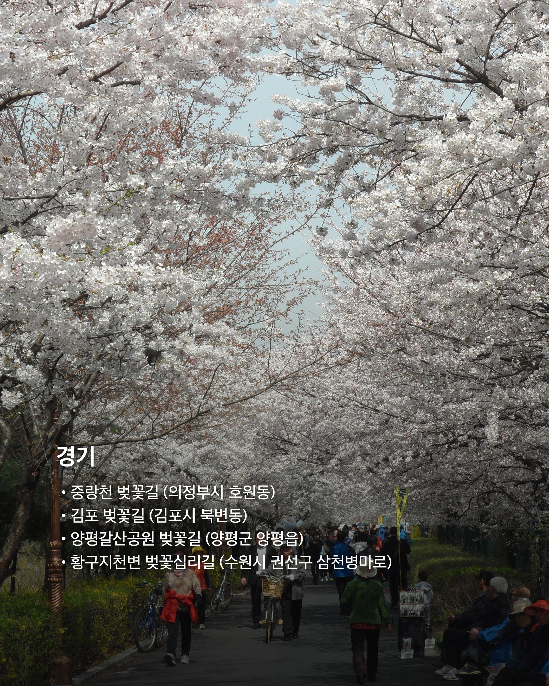 https://cdn.eyesmag.com/content/uploads/sliderImages/2026/03/30/cherry-blossom-hot-spot-30-02-bba208f0-da01-4f31-8f72-28ce1d98cd82.jpg